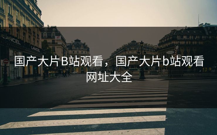 国产大片B站观看，国产大片b站观看网址大全
