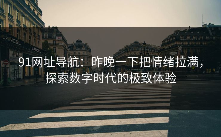 91网址导航:昨晚一下把情绪拉满,探索数字时代的极致体验