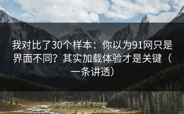 我对比了30个样本:你以为91网只是界面不同?其实加载体验才是关键(一条讲透)